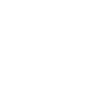 Icon vogel